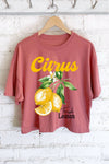 CITRUS FRESH LEMON GRAPHIC LONG CROP TOP: STONE
