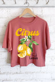 CITRUS FRESH LEMON GRAPHIC LONG CROP TOP: STONE