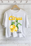 CITRUS FRESH LEMON GRAPHIC LONG CROP TOP: STONE