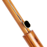 Mushroom Study Umbrella