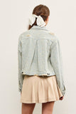 STRIPED STAR JAQUARD DENIM JACKET: SAND WASH / M